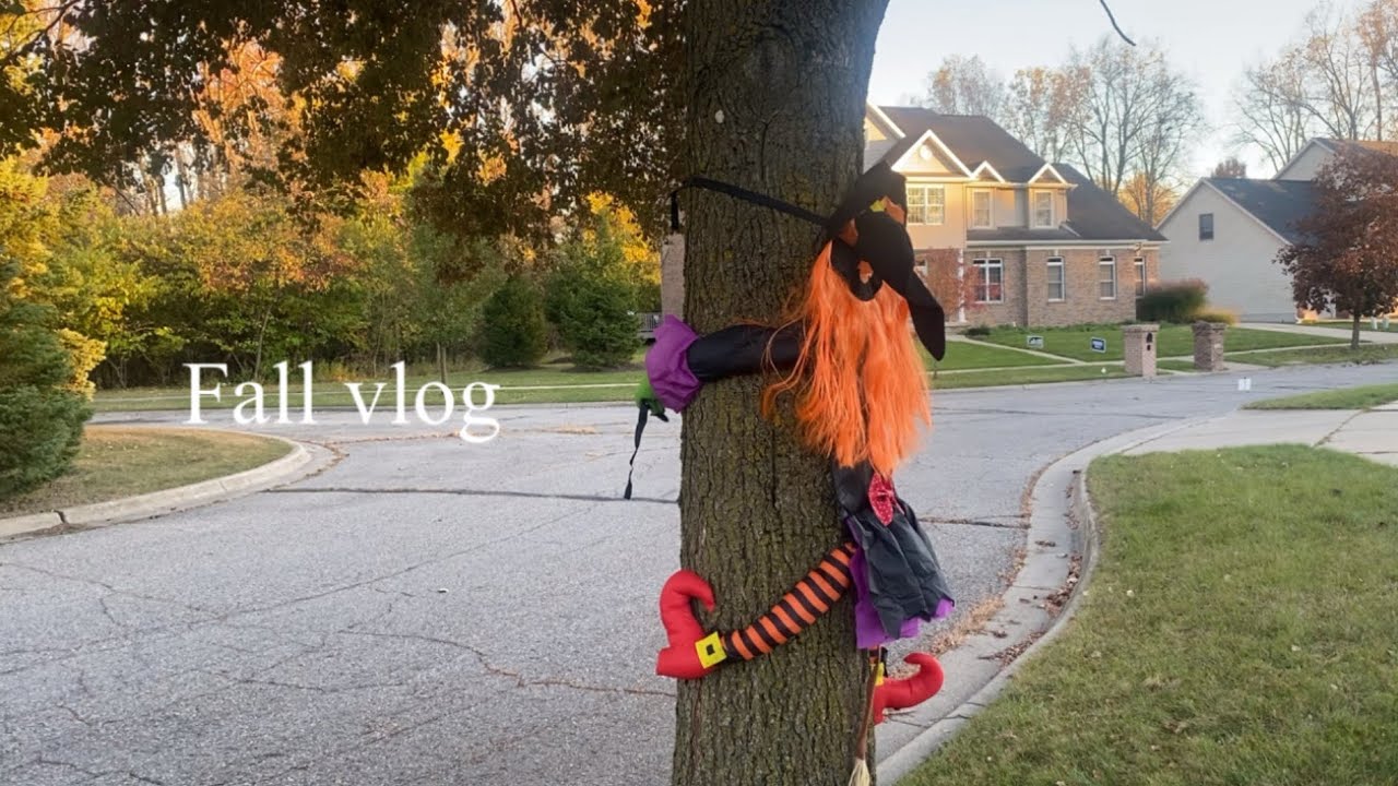 이스트랜싱 시골 일상 vlog🎃
