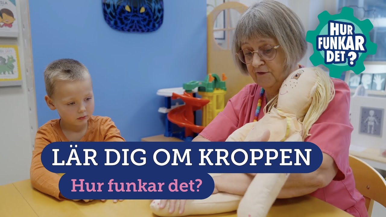 Lär dig om kroppen (barn)