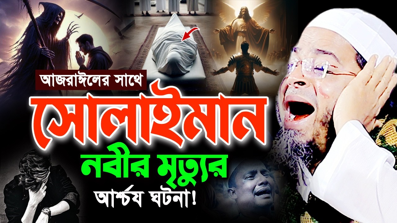 আহ! মৃত্যুর এমন ঘটনা জীবনে আর শুনেন নাই। মুফতি নাসির উদ্দিন আনসারী ওয়াজ Nasir Uddin Ansari Waz 2026