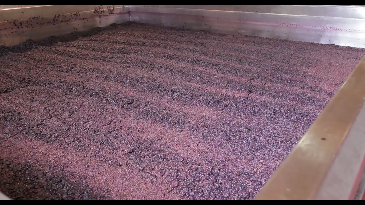 Processo de vinificação do Vinho do Porto