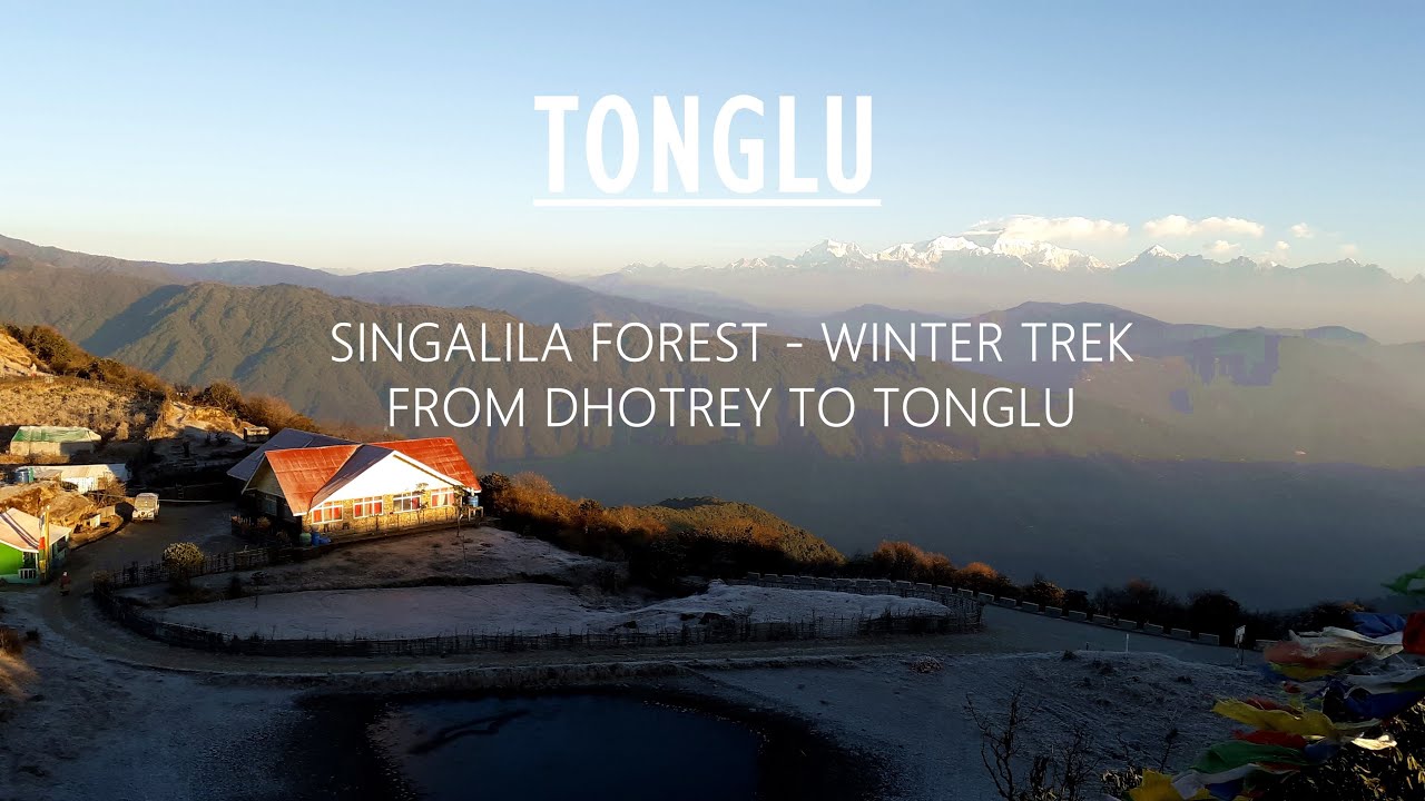 Tonglu Trek from Dhotrey | Singalila National Park | Darjeeling | Episode 3 | টোংগলু । দার্জিলিং