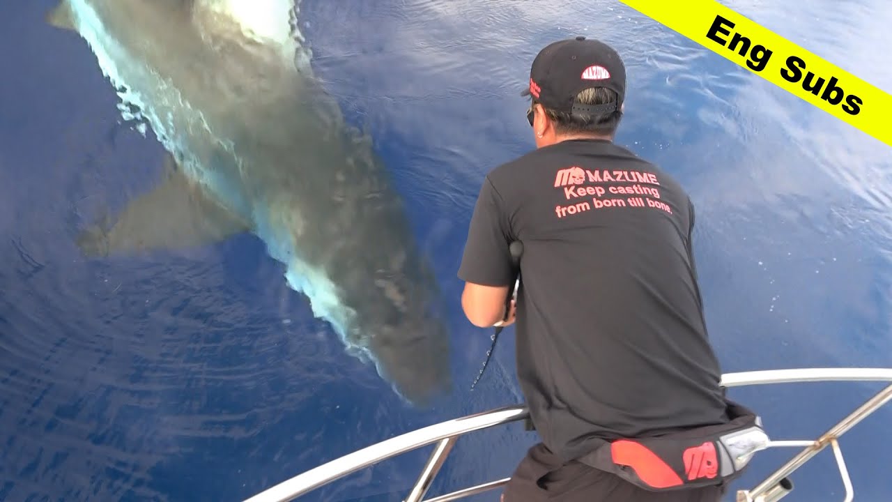 ドキュメンタリー巨大サメとの死闘 | Giant Shark Fishing