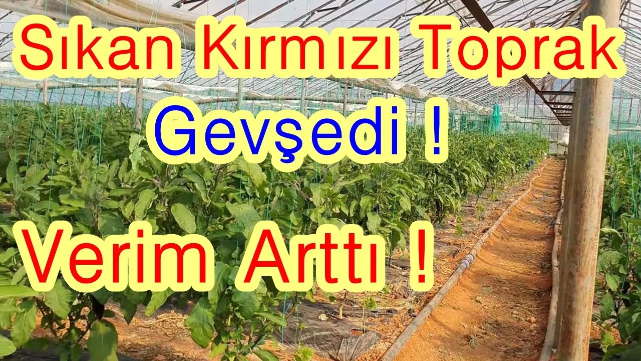 Sıkan - Sert - Sıkı Bir Toprak Nasıl Gevşetilir - Çözülür - Killi Toprakta Verim Nasıl Artırılır