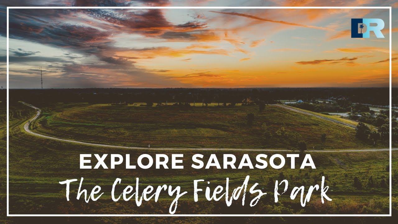 Explore Sarasota: The Celery Fields Park