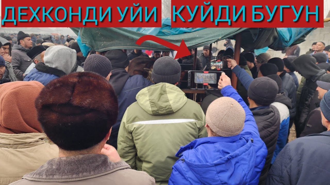 24-yanvar, 2026 АНДИЖОН ШАХРИХОН ЖУЧА МОЛ БОЗОРИДА КАТТА БУКАЛАР ТРЕНТА ЧКТИ БУГУН ДУСЛАР 