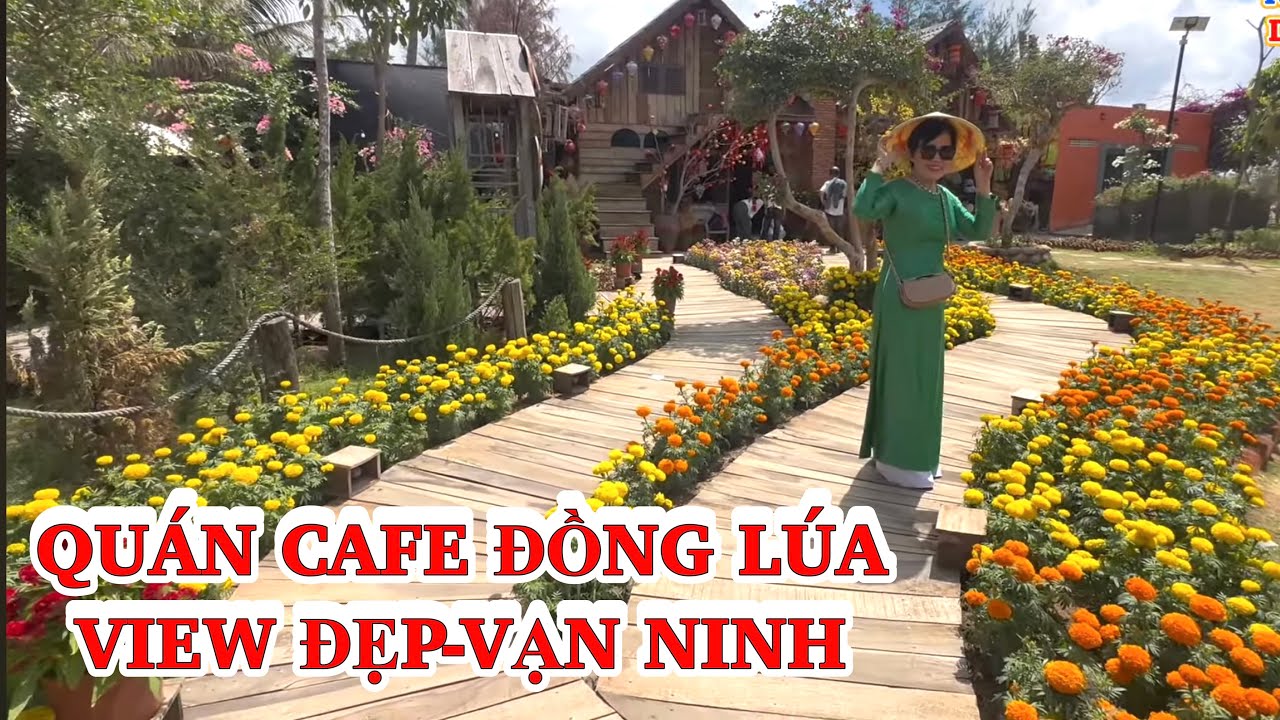 Quán Cafe Đồng Lúa-Vạn Ninh| Lý Do Phụ Nữ Thích Mặc Áo Dài Đi Uống Cafe?