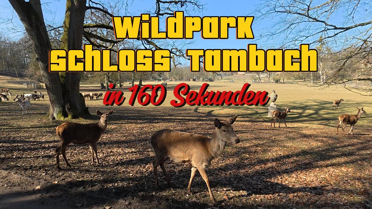 WildPark Schloss Tambach im M&auml;rz in 160 Sekunden