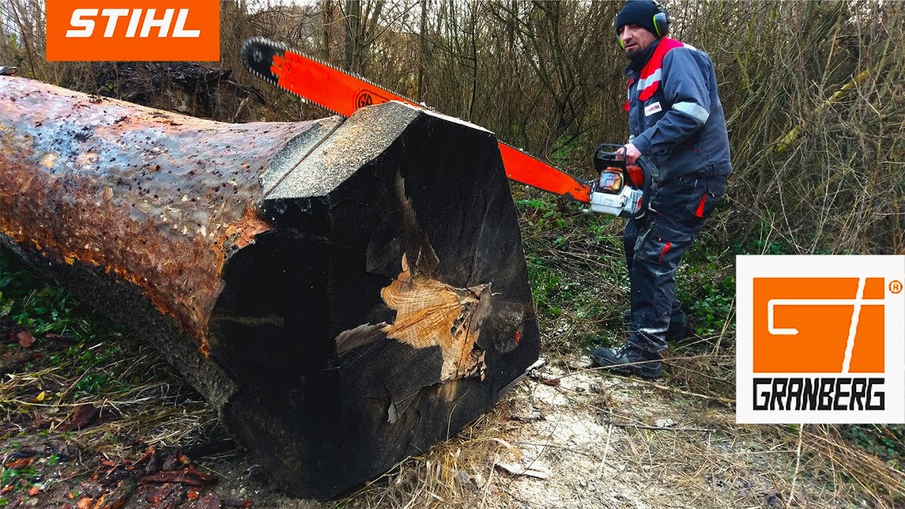 Mysterious Ash - STIHL MS661 ft. GRANBERG Bar x Alaskan Chain Saw Mill setup