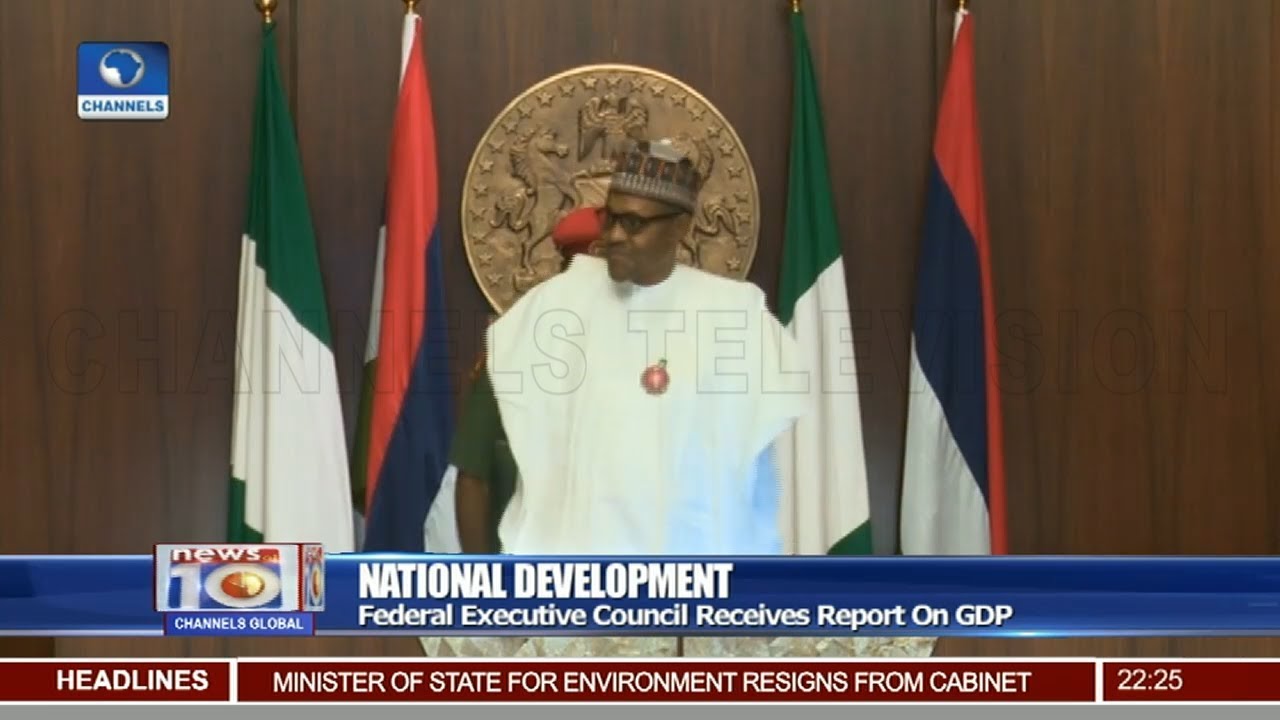 Federal Executive Council Receives Report On GDP