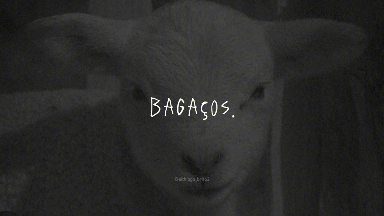 Baga&ccedil;os | Louvor com Thiago Brito