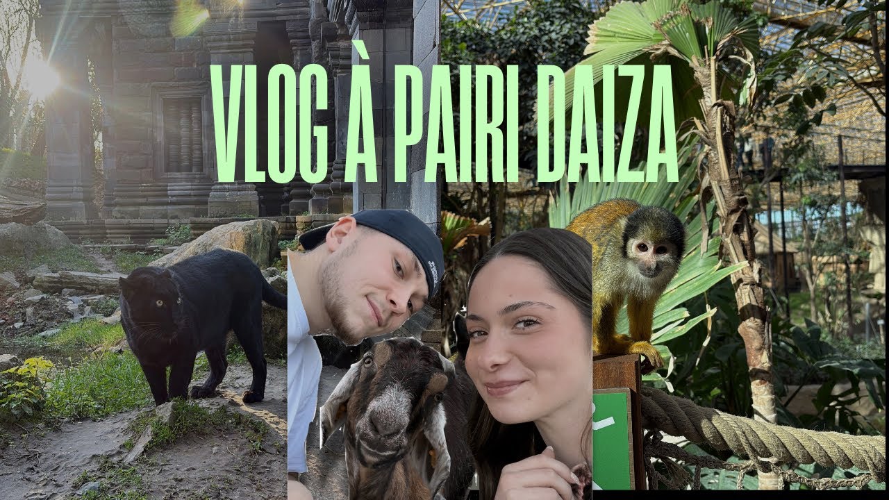 Une journée à pairi daiza / 🐐🦁🦓
