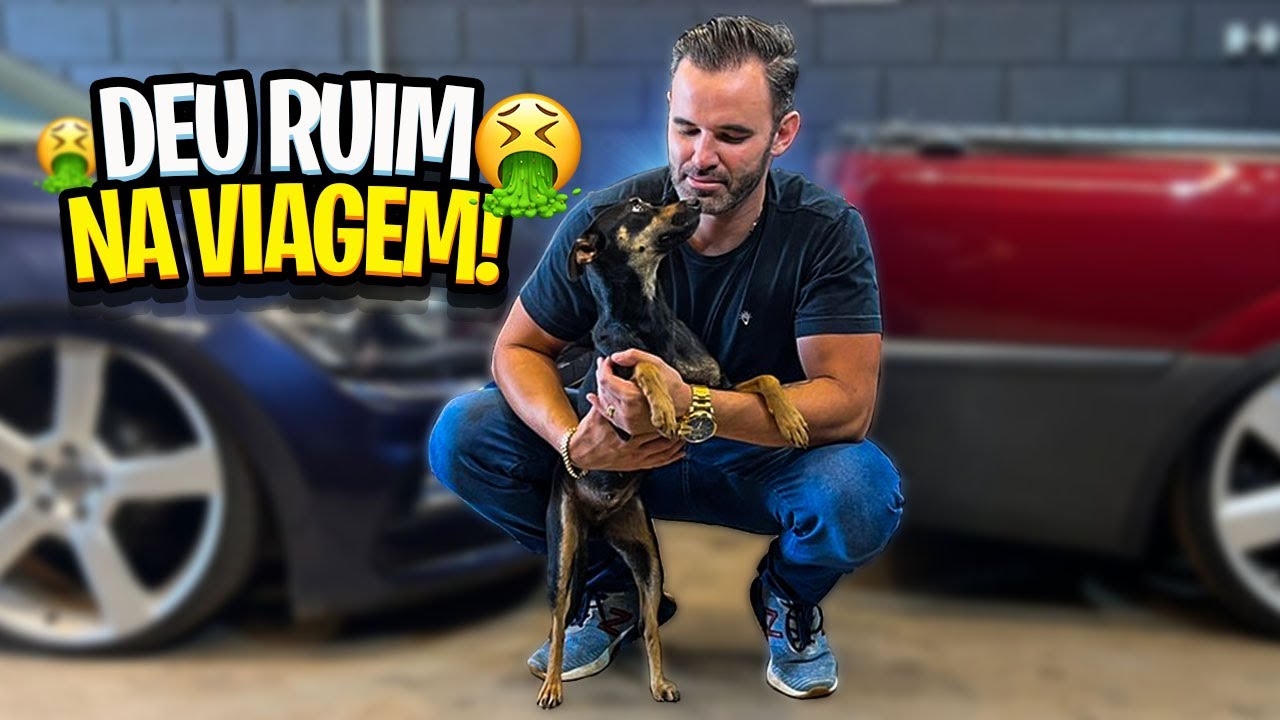 ADOTEI UMA CACHORRINHA DE RUA | VAI MORAR NO LOWCENTER