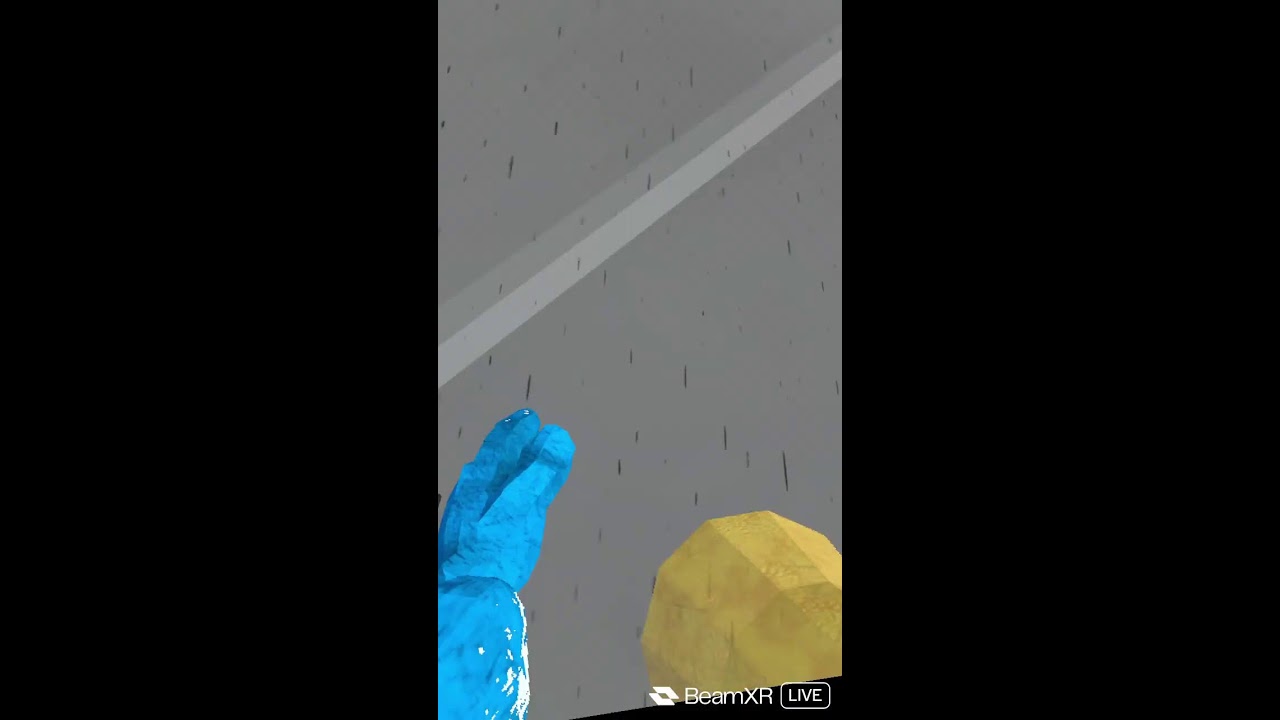 Playing Animal Company