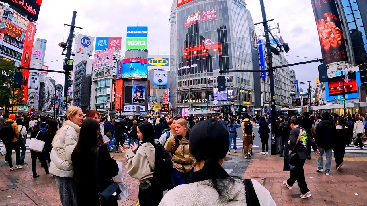 Harajuku to Shibuya walking tour. Tokyo, Japan. 