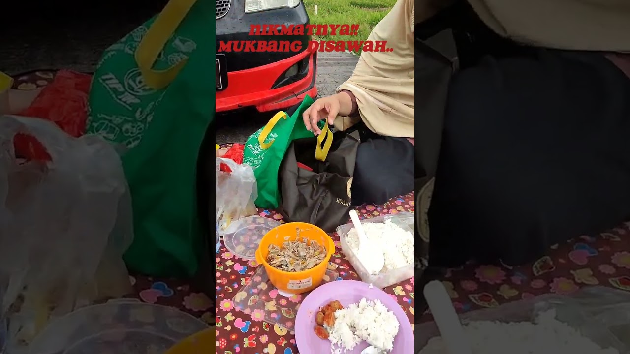 Makan Bareng DiSawah Dengan Makanan Khas kampung #shorts  #makandisawah #trendingkan