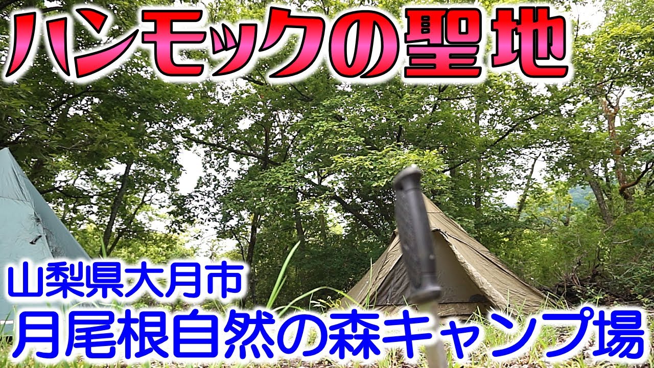 キャンプ場紹介！月尾根自然の森キャンプ場！ハンモックの聖地！気持ち良いキャンプの撮影場所！山梨県大月市！
