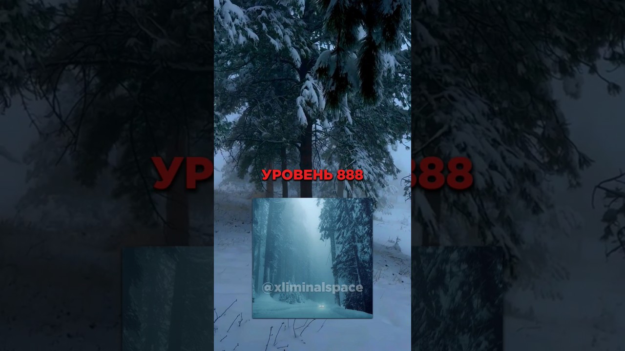 ☁❄Backrooms Уровень 888 Заснеженный Лес - Найденные Кадры❄☁ #backrooms #закулисье #creepypasta