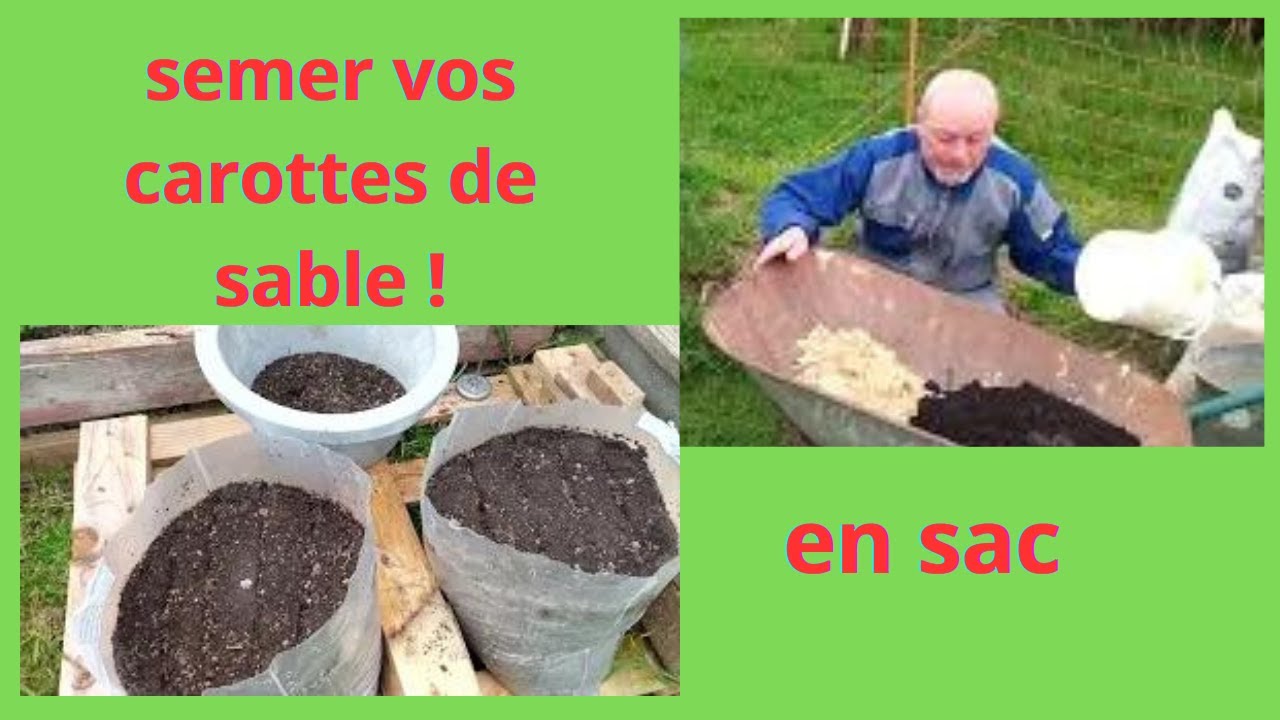 18 avril  au jardin : semer vos carottes ,,,,,, ( de sable )