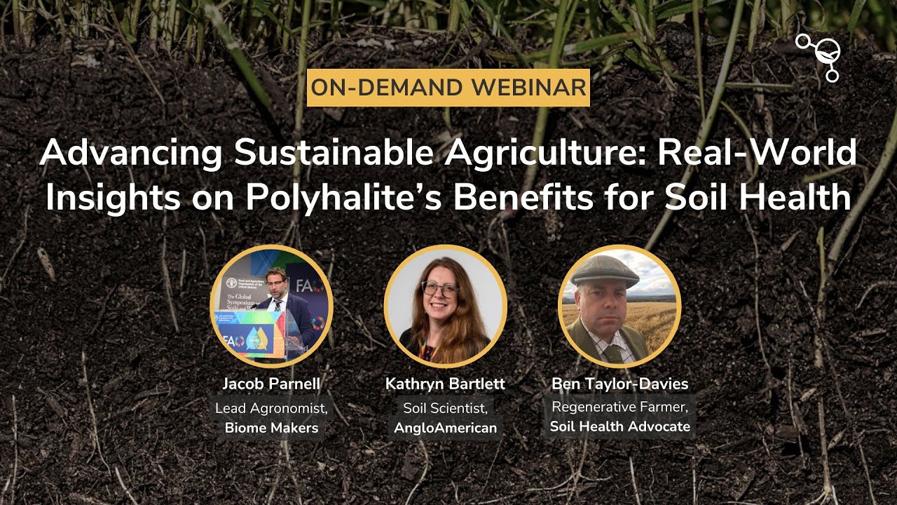 Advancing Sustainable Agriculture: Real-World Insights on Polyhalite’s Benefits for Soil Health