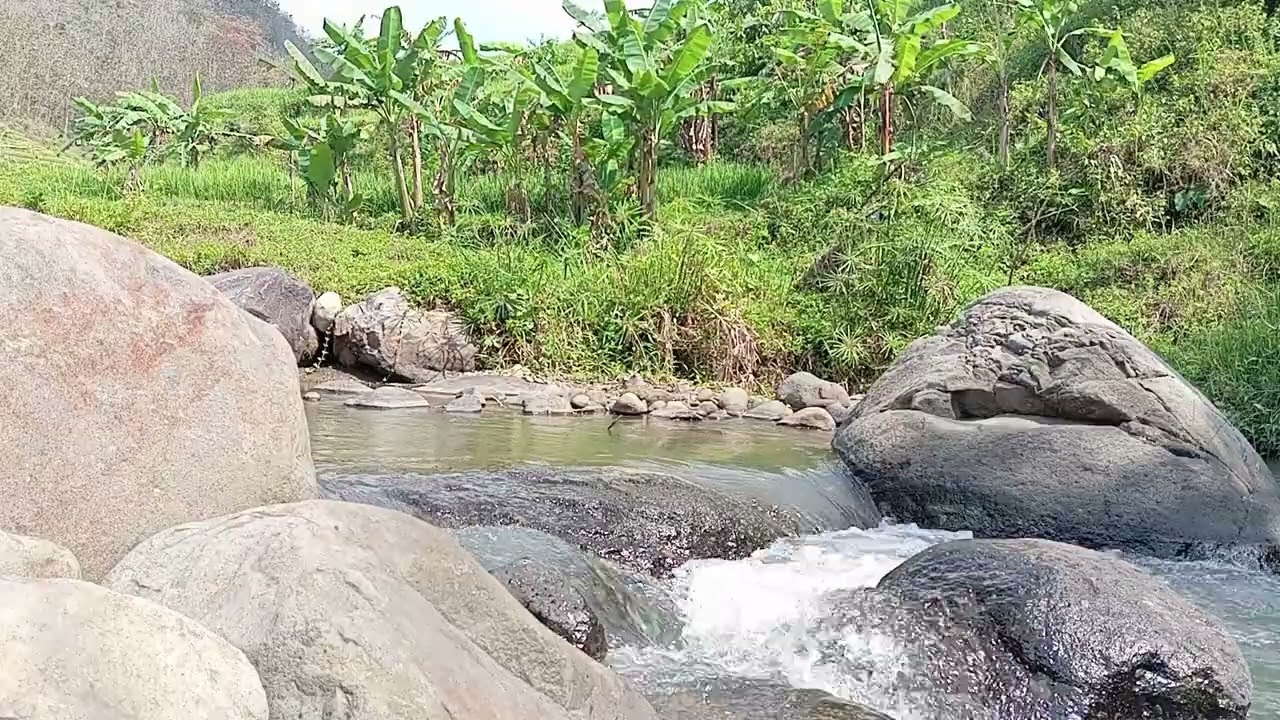 Sanfte Flusslieder & das Rauschen eines Waldbachs &ndash; Vertr&auml;umter Tag am Waldrand