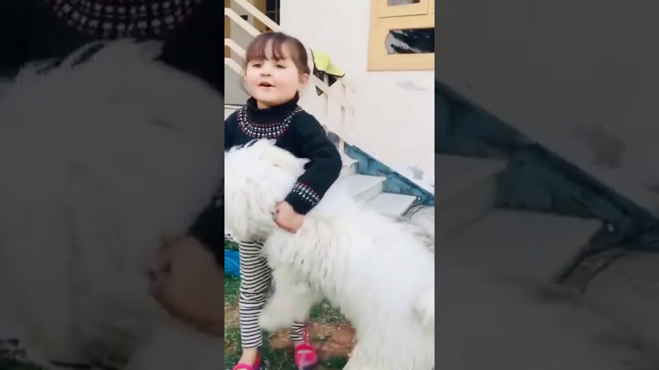 Pawri hori hai | little Dananeer mobeen pawri girl 