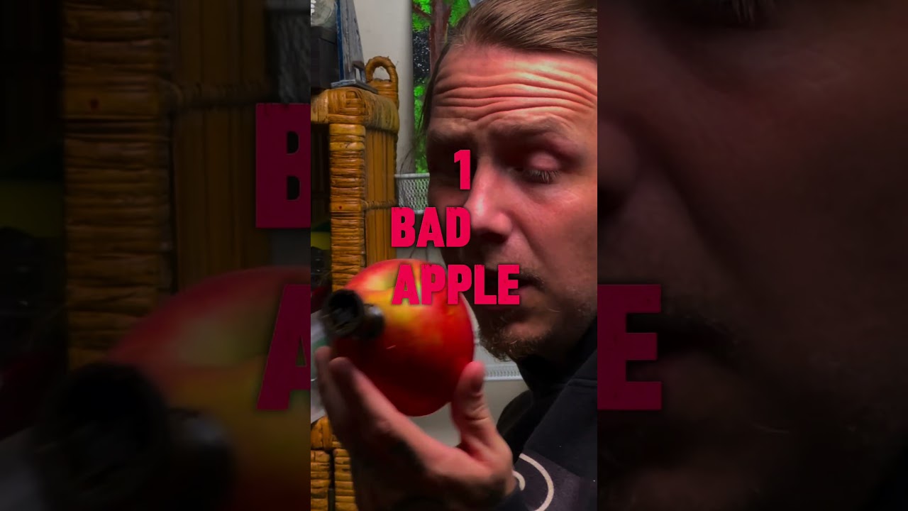 The Apple