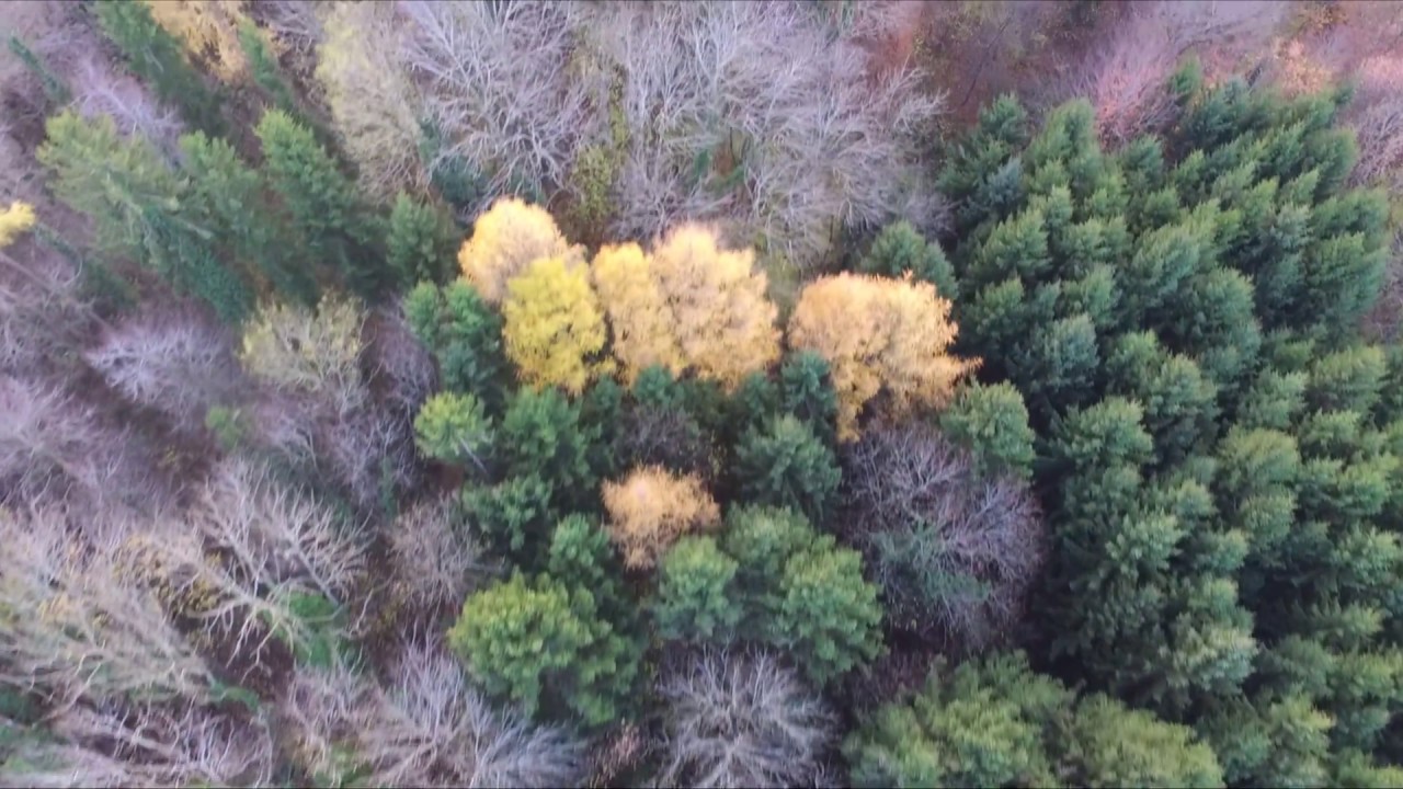 Drone broye