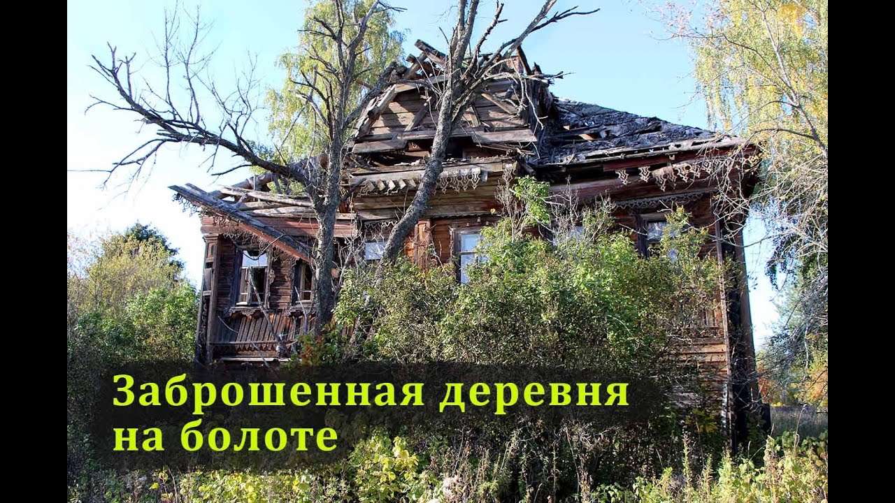Деревни в глубинке Костромской области. Покинутые дома на болоте. Заброшенная деревня в лесу