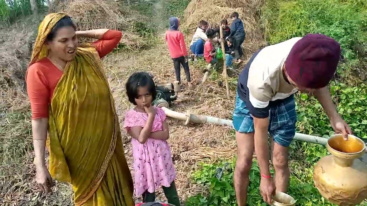 আরেক টা পুকুরে মাছ দরা হলো