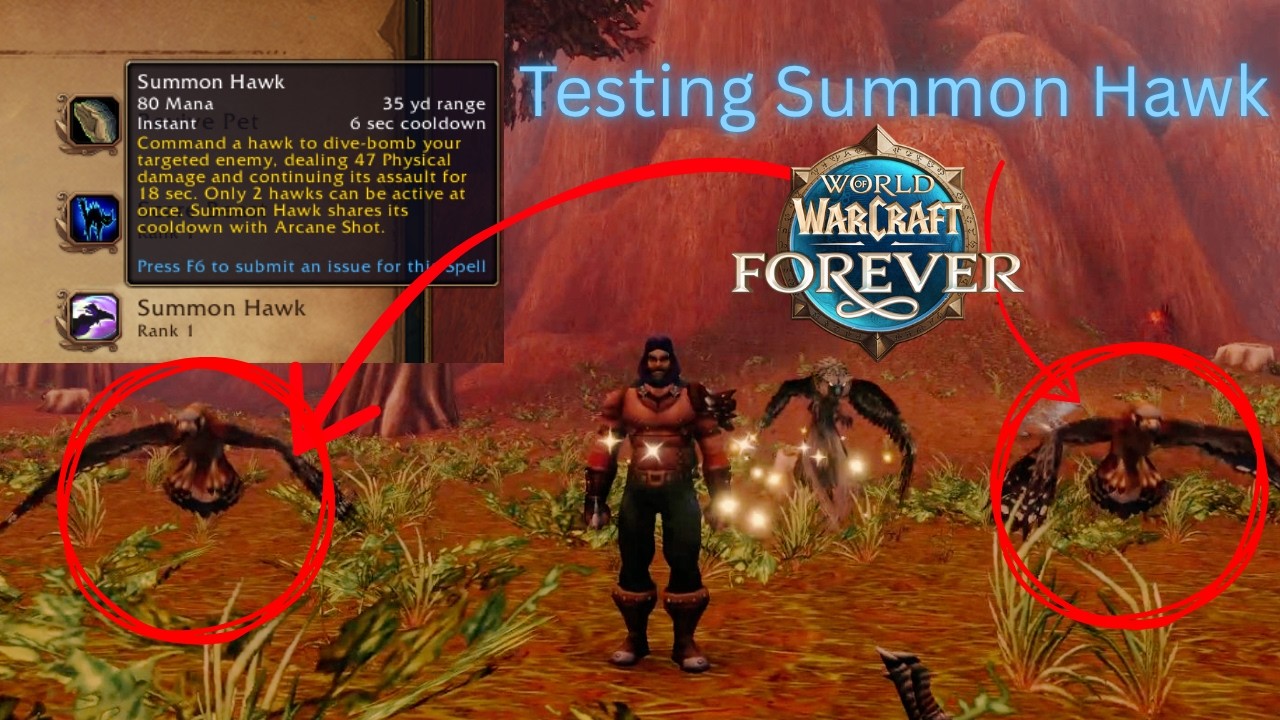WoW Forever Hunter: тест урона способности &laquo;Призыв ястреба&raquo; &mdash; лучше ли она &laquo;Чародейского выстрела&raquo;?