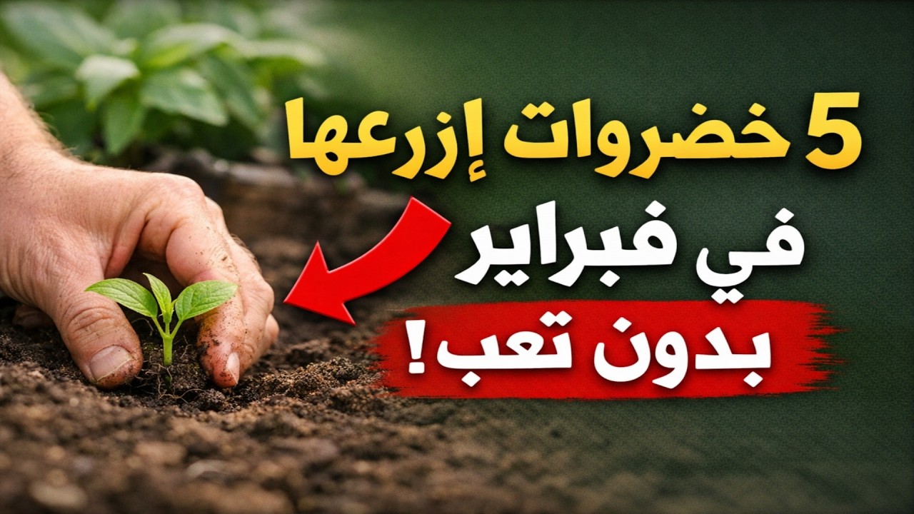 زراعة الصيف للكسولين: 5 خضروات ازرعها في فبراير واحصدها بدون تعب!