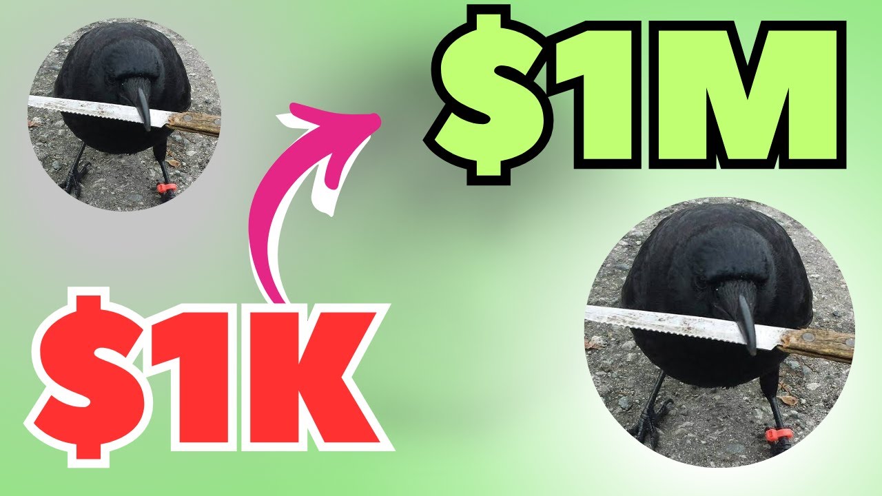 YOU WILL REGRET NOT BUYING CROW WITH KNIFE (CAW)  COIN || HERE IS WHY !!