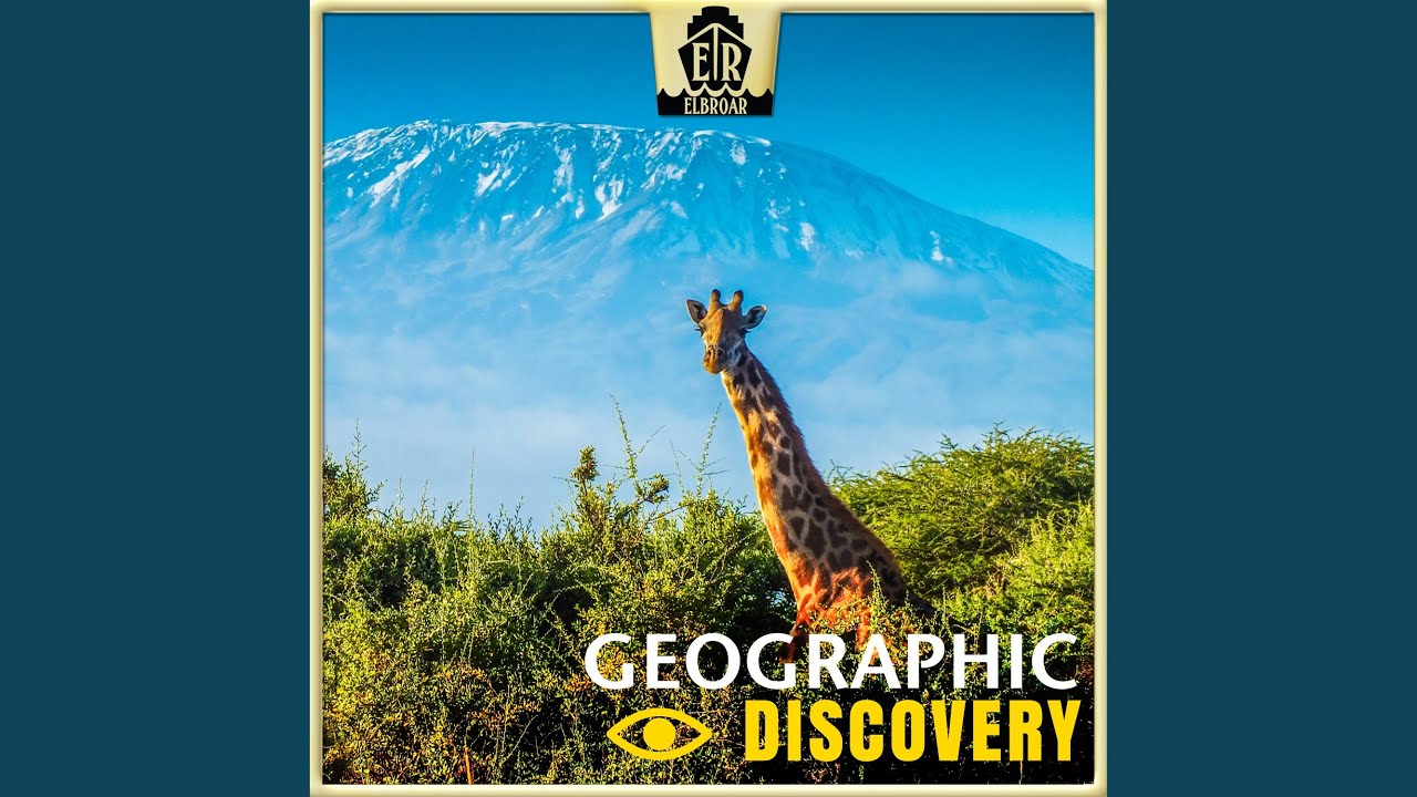 Cold Light of the Day