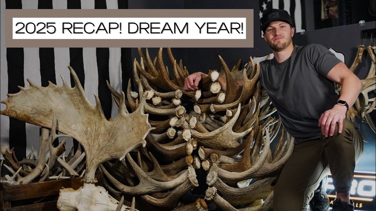 HOW I DID IT! STACKING MOOSE SHEDS IN 2025.
