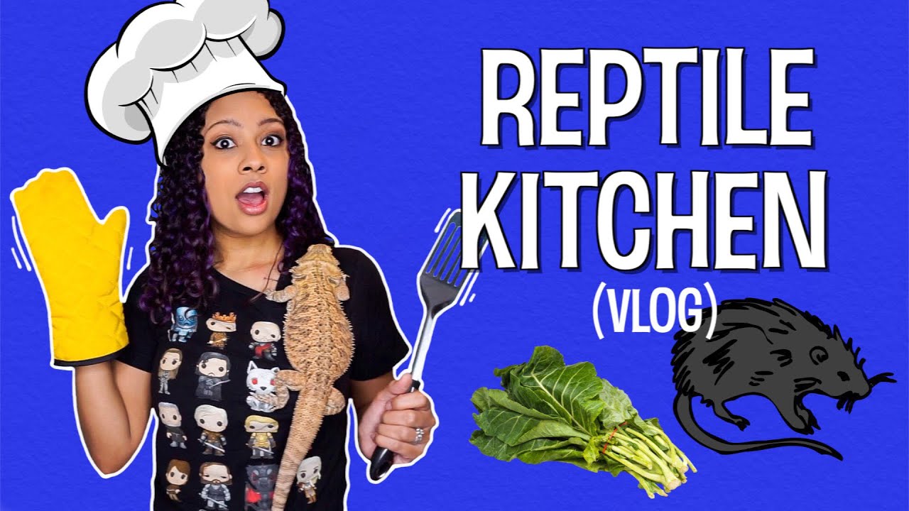 Elle's Kitchen // Feeding the Animals - Vlog 9 (kind of)