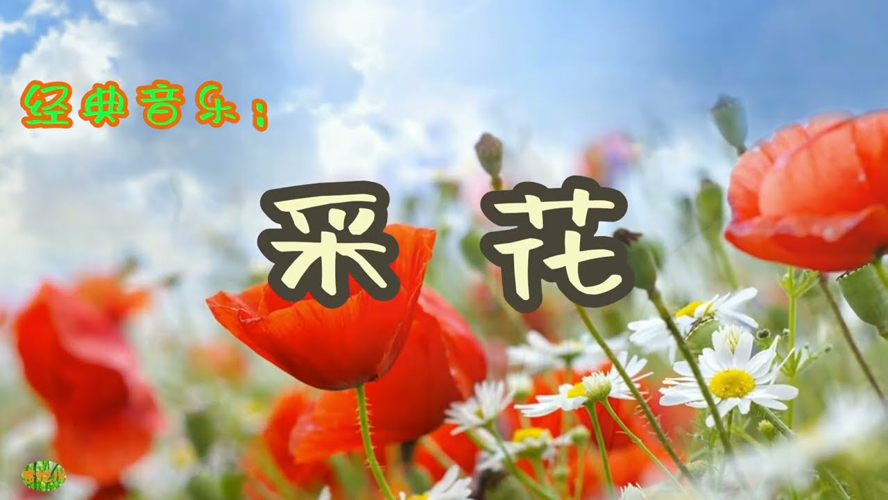 采花 - 笙。经典音乐