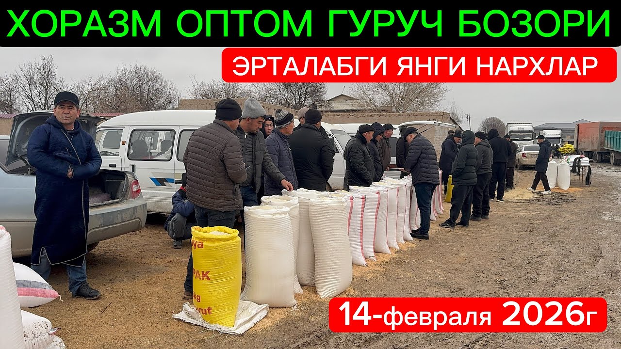 ХОРАЗМ ОПТОМ ГУРУЧ БОЗОР НАРХЛАРИ 14-февраля 2026г
