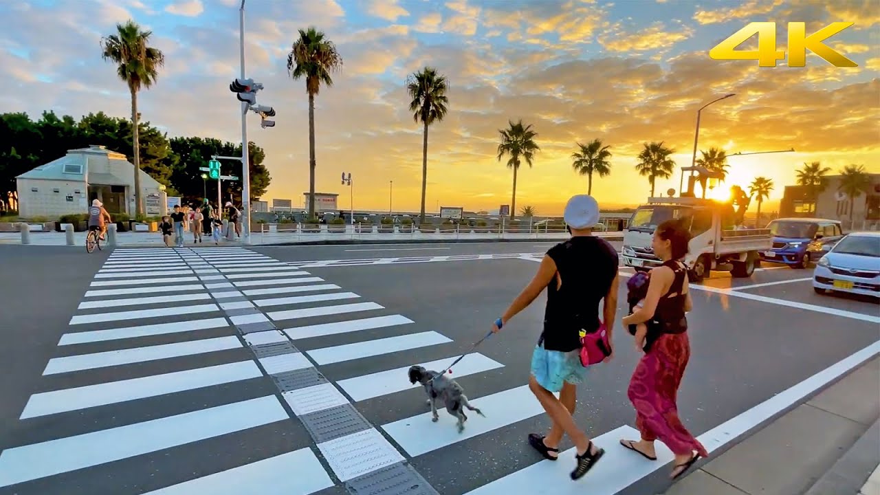 🇯🇵 Beautiful evening sunset at Fujisawa city・4K