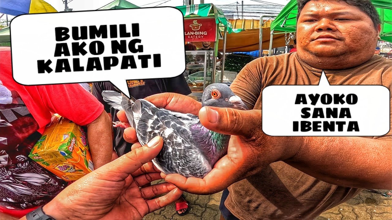 EKSENA SA MALABON JUNE 14, 2025 | PET TIANGGE