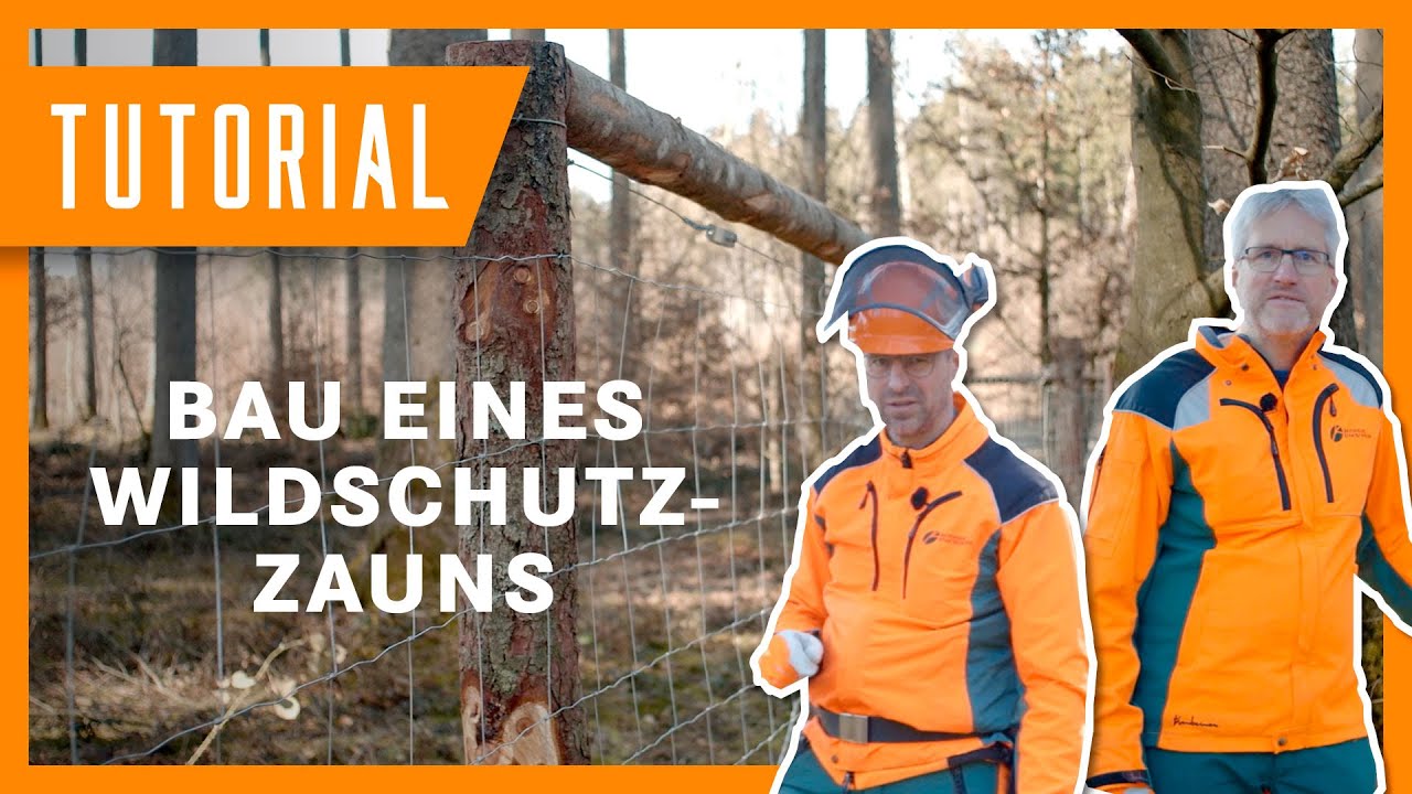 Wildschutzzaun selber bauen I Tutorial der Bayerischen Staatsforsten