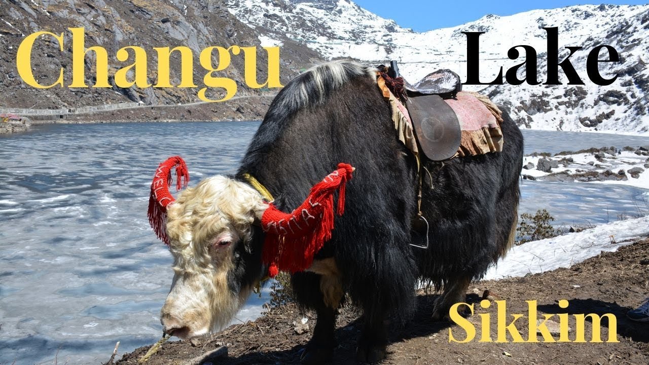 Changu Lake (TSOMGO ) | Sikkim |