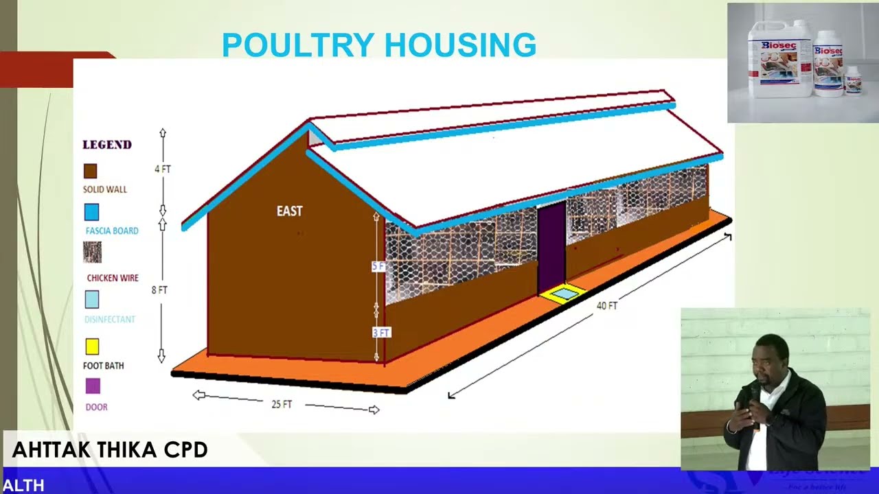 PROPER CHICK MANAGEMENT TO MINIMISE MORTALITIES