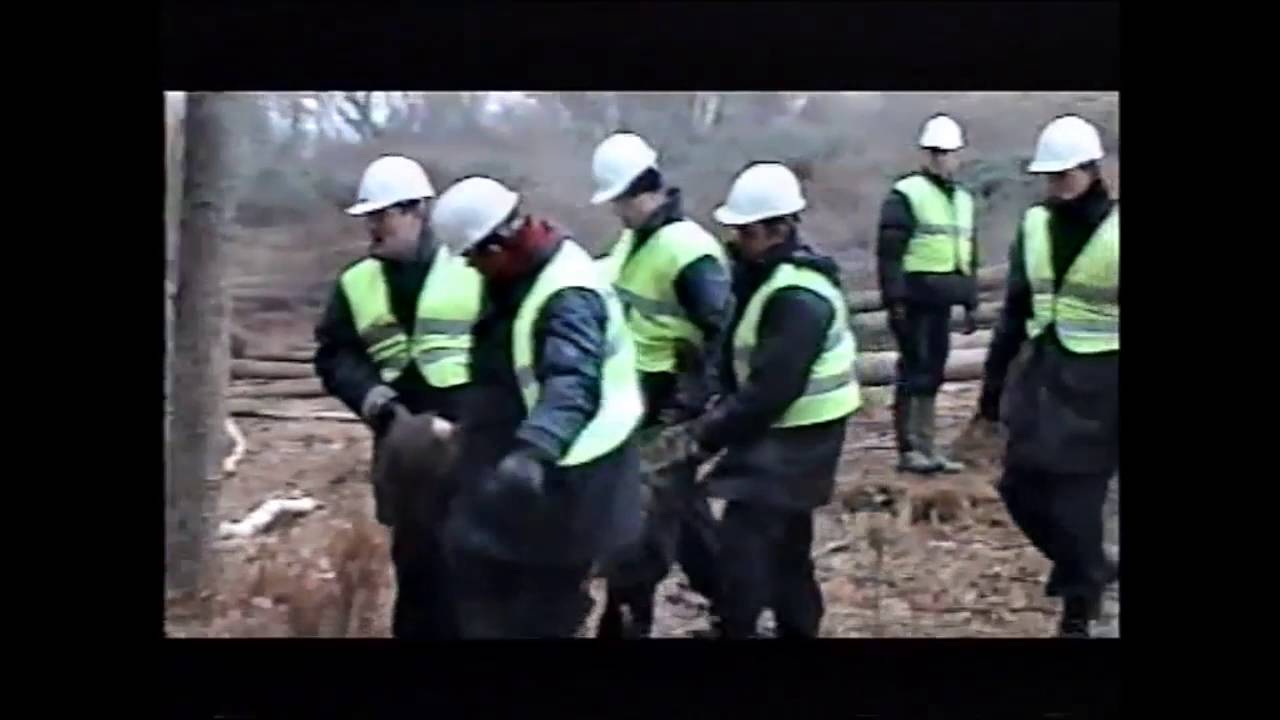 Newbury bypass  protests