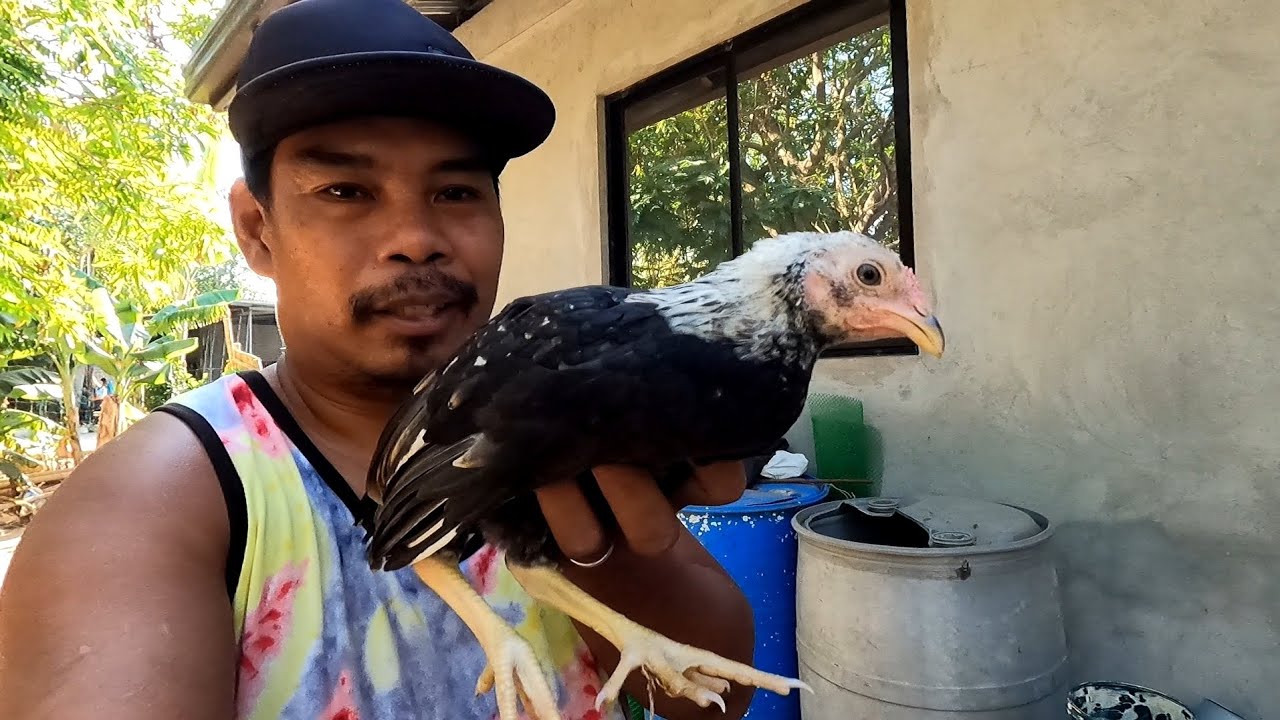 VLOG 448: MAYOR SA SELDA || HINDI TALAGA ITO MAIWASAN