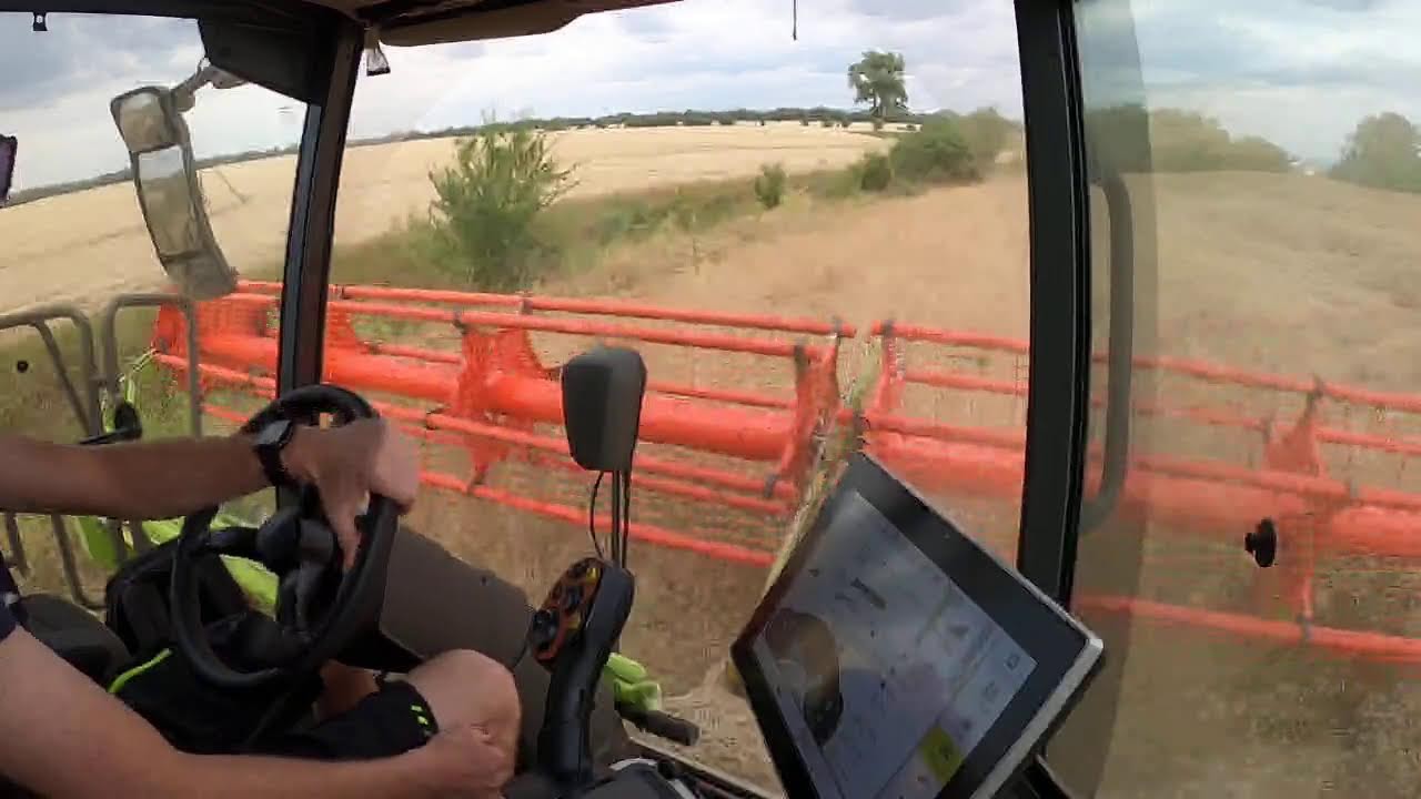 Livestream | Sklizeň Řepky s Claas Lexion 8700 | Slovensko 2025