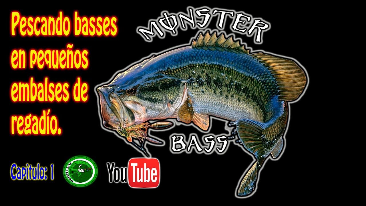 PESCANDO BASSES EN PEQUE&Ntilde;OS EMBALSES DE REGAD&Iacute;O 1