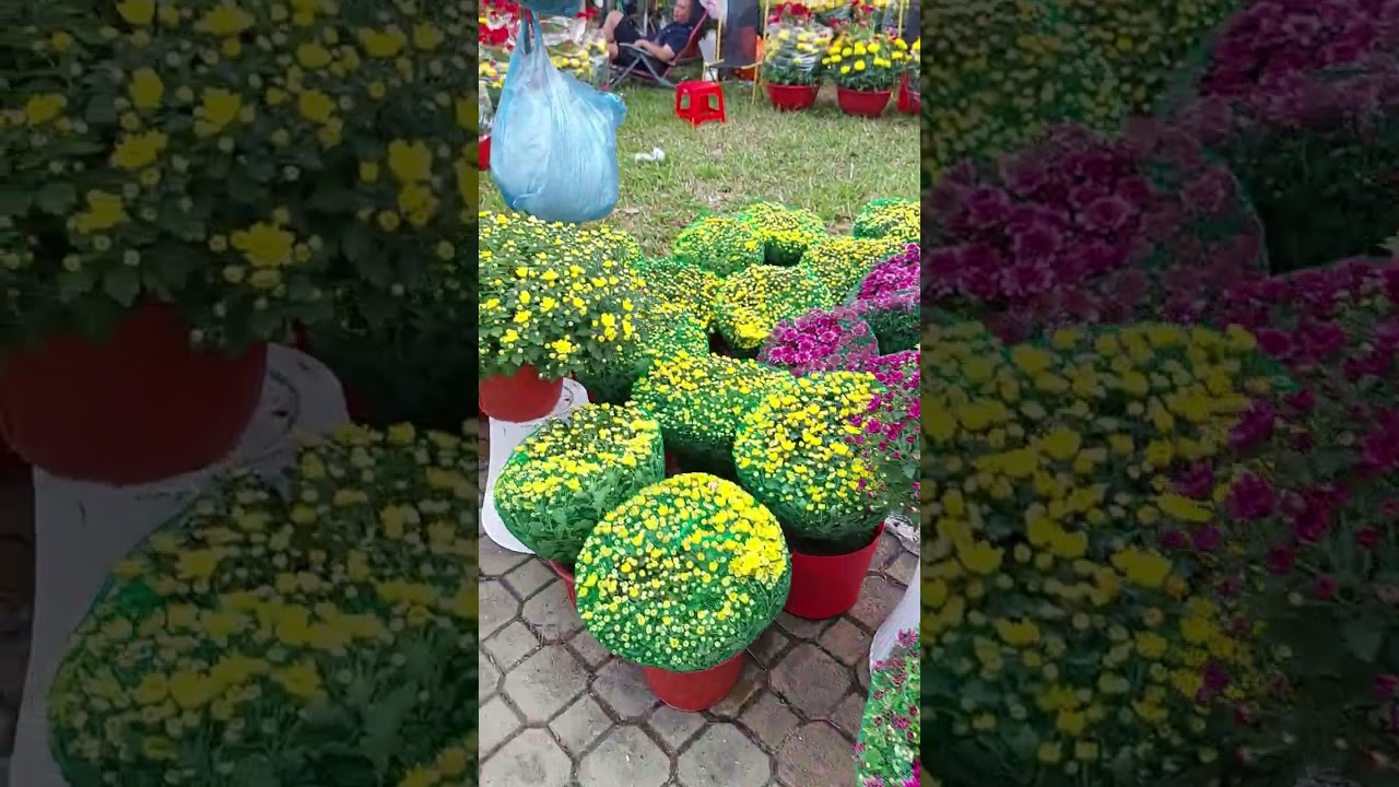 GIA DINH PARK #saigon 