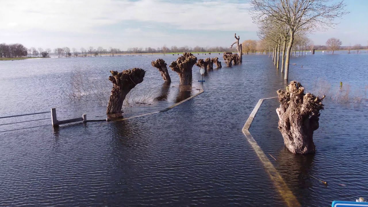Hoogwater bij de Wieler aan de Maas / Swalm.