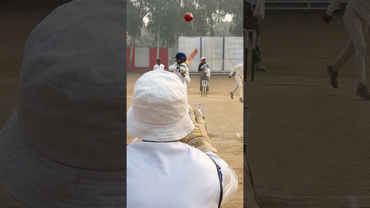 Steeping FAST Bouncer 