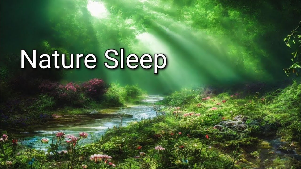 Nature Sounds for Deep Sleep | Peaceful Forest Ambience 2 Hour 🌿
